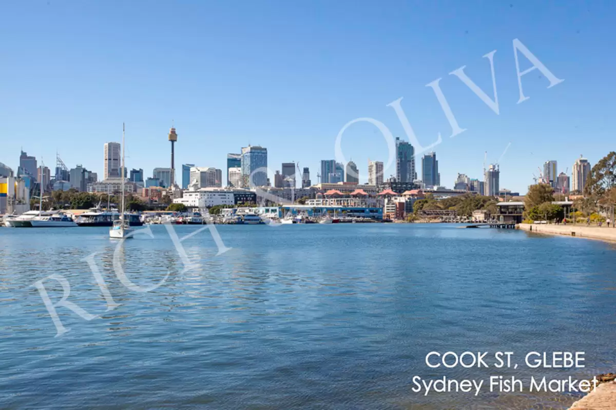 9/9a Cook Street, Glebe Leased by Rich & Oliva - image 7