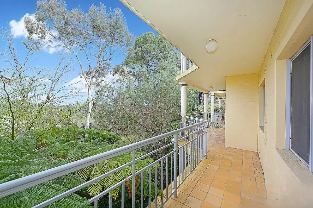 15/316 Pacific Highway, Lane Cove Leased by Rich & Oliva - image 1