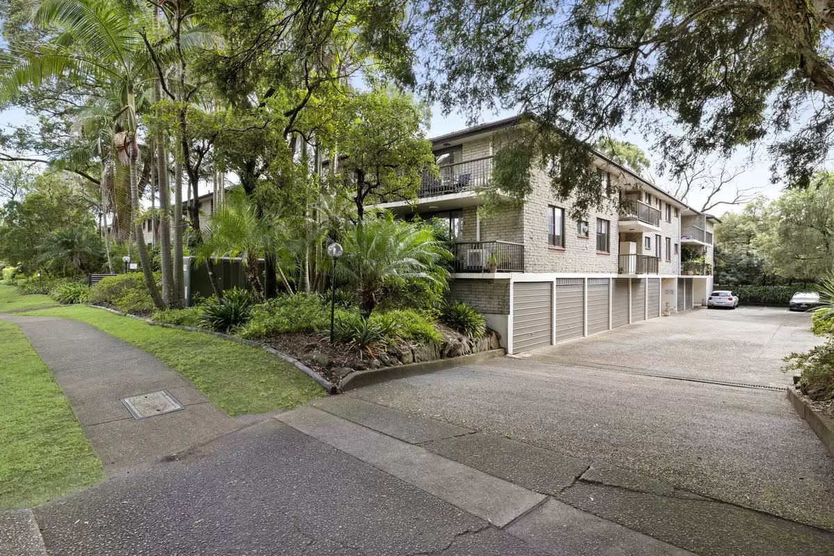 28/211-213 Waterloo Road, Marsfield Leased by Rich & Oliva - image 1