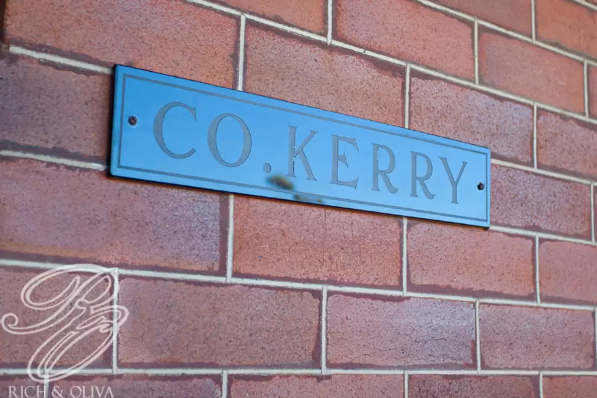 14 Tennyson Street, Enfield Sold by Rich & Oliva - image 3