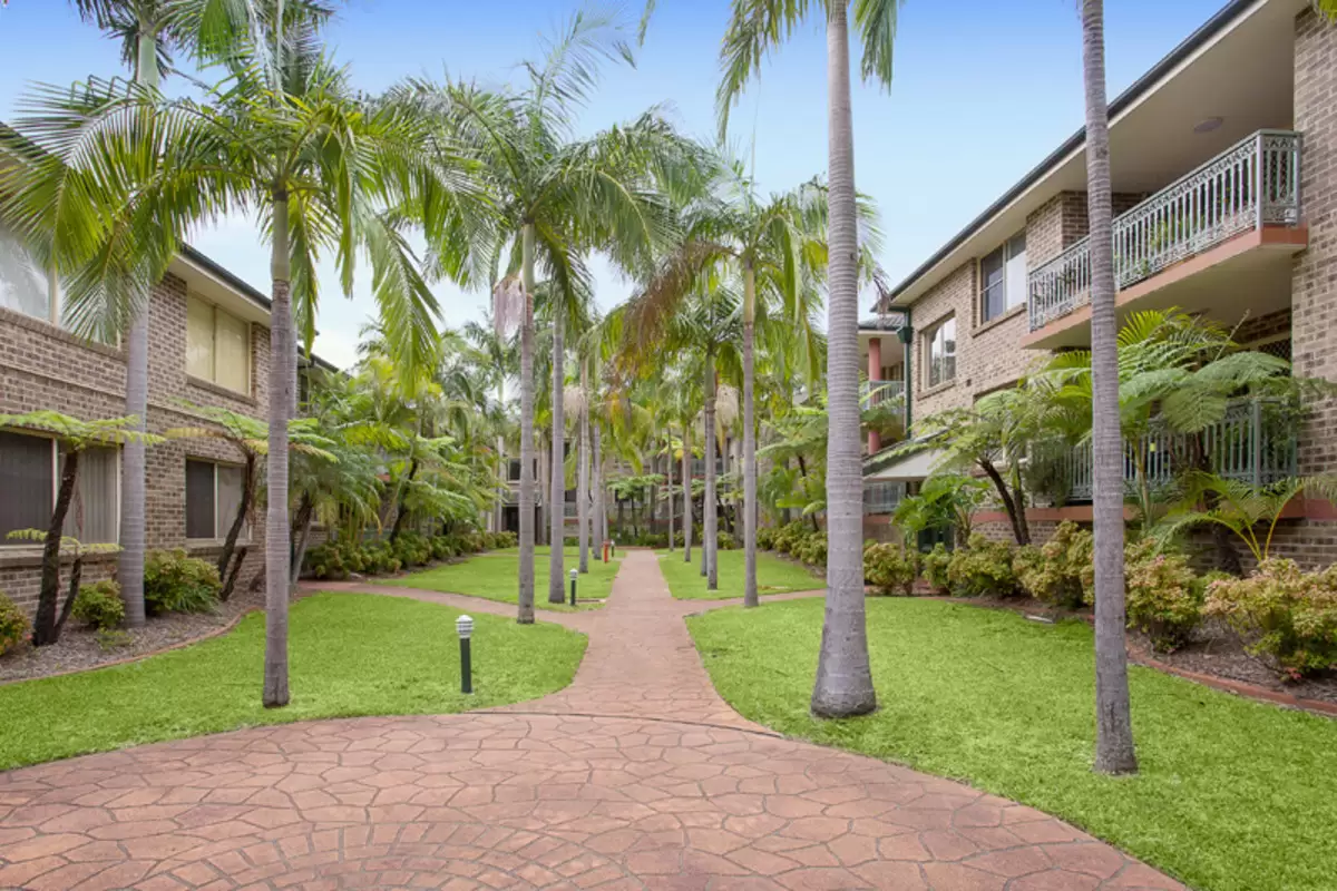 25/2A Tangarra Street East, Croydon Park Sold by Rich & Oliva - image 1