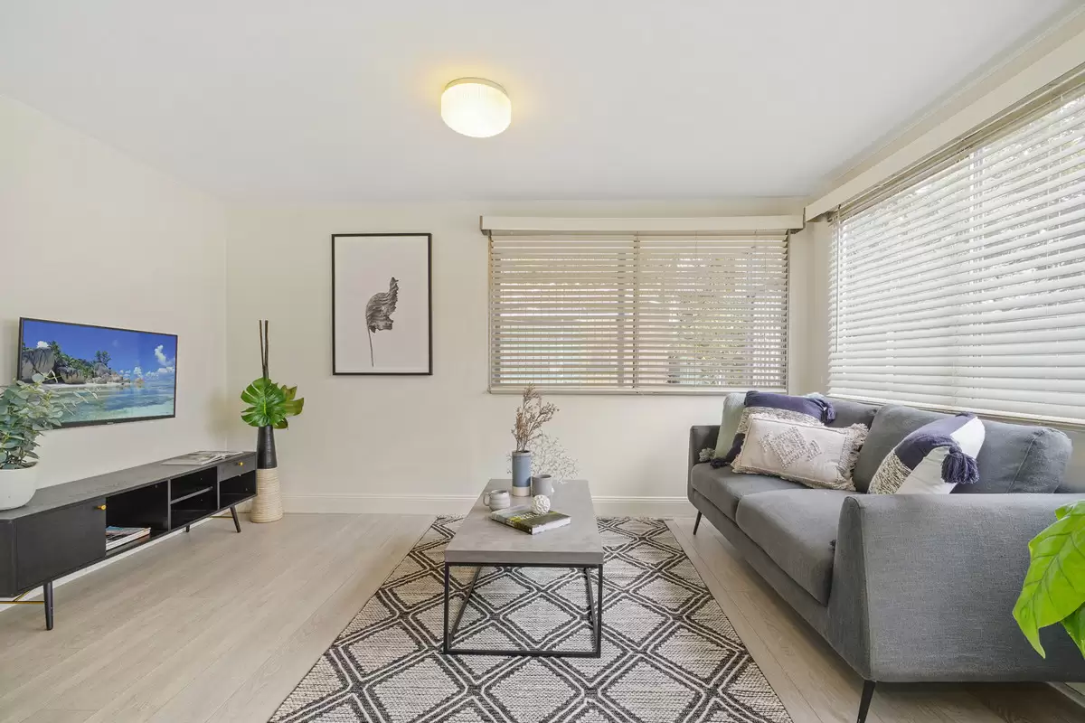 31 Cooks Avenue, Canterbury Sold by Rich & Oliva - image 6