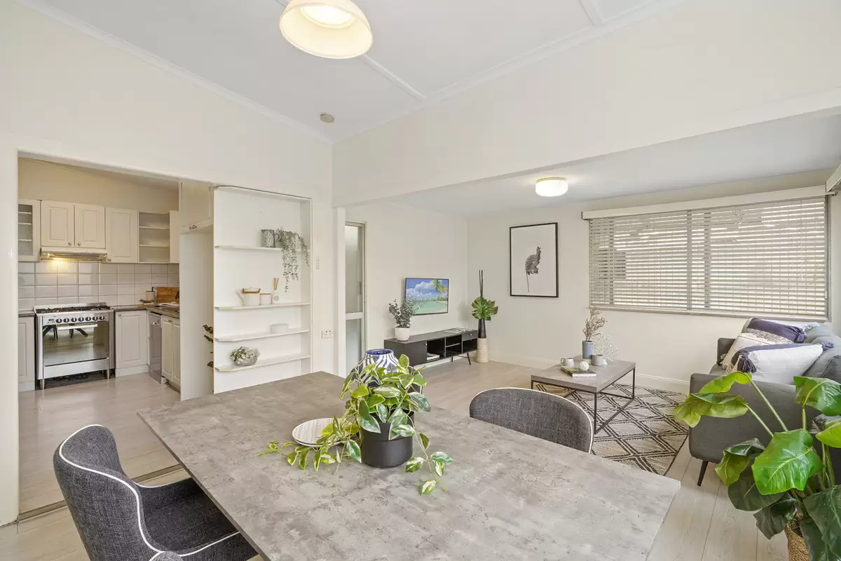 31 Cooks Avenue, Canterbury Sold by Rich & Oliva - image 4