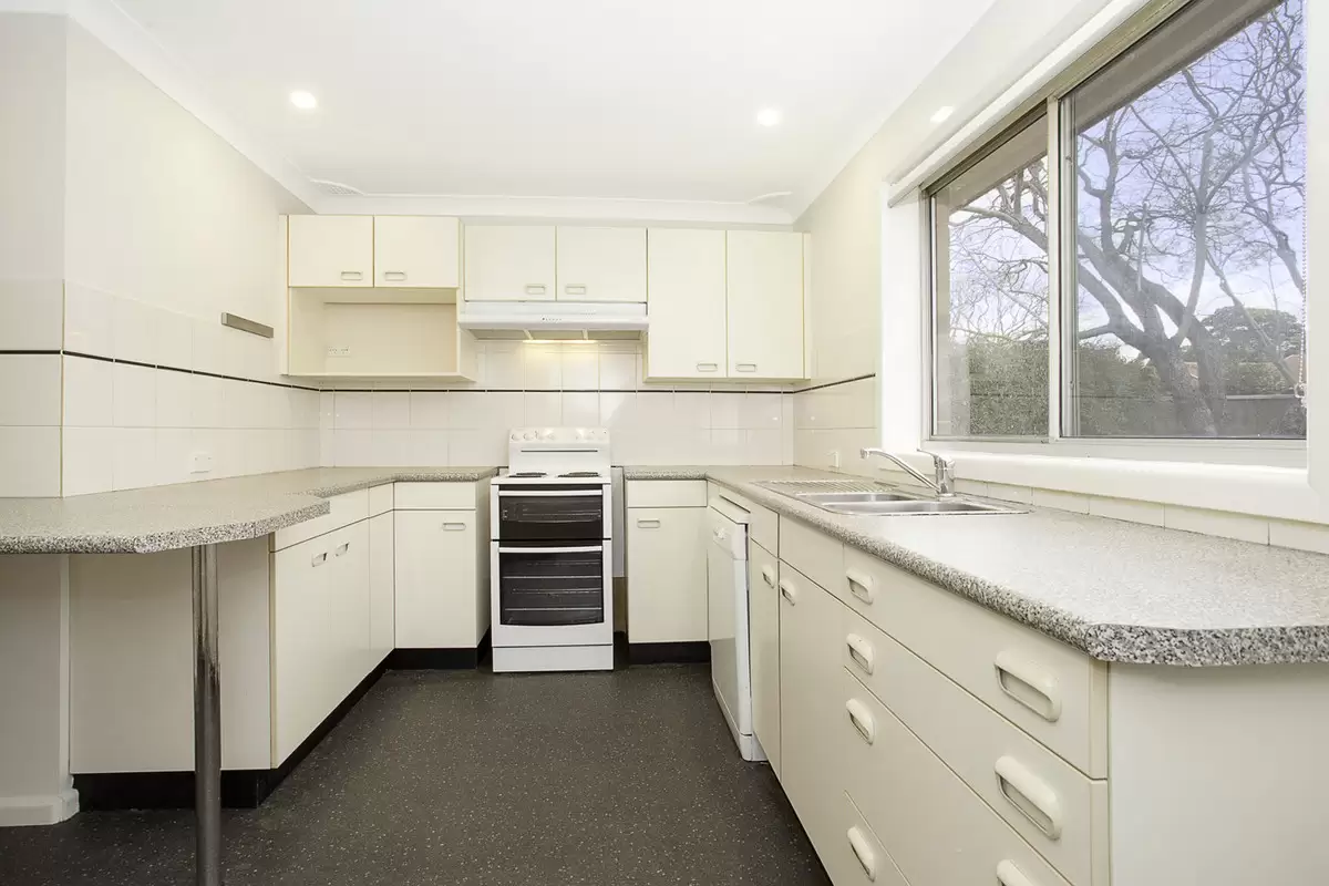 11 Cheviot Street, Ashbury Sold by Rich & Oliva - image 7